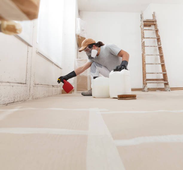 Best Post-Construction Mold Inspection  in Fest Grove, OR